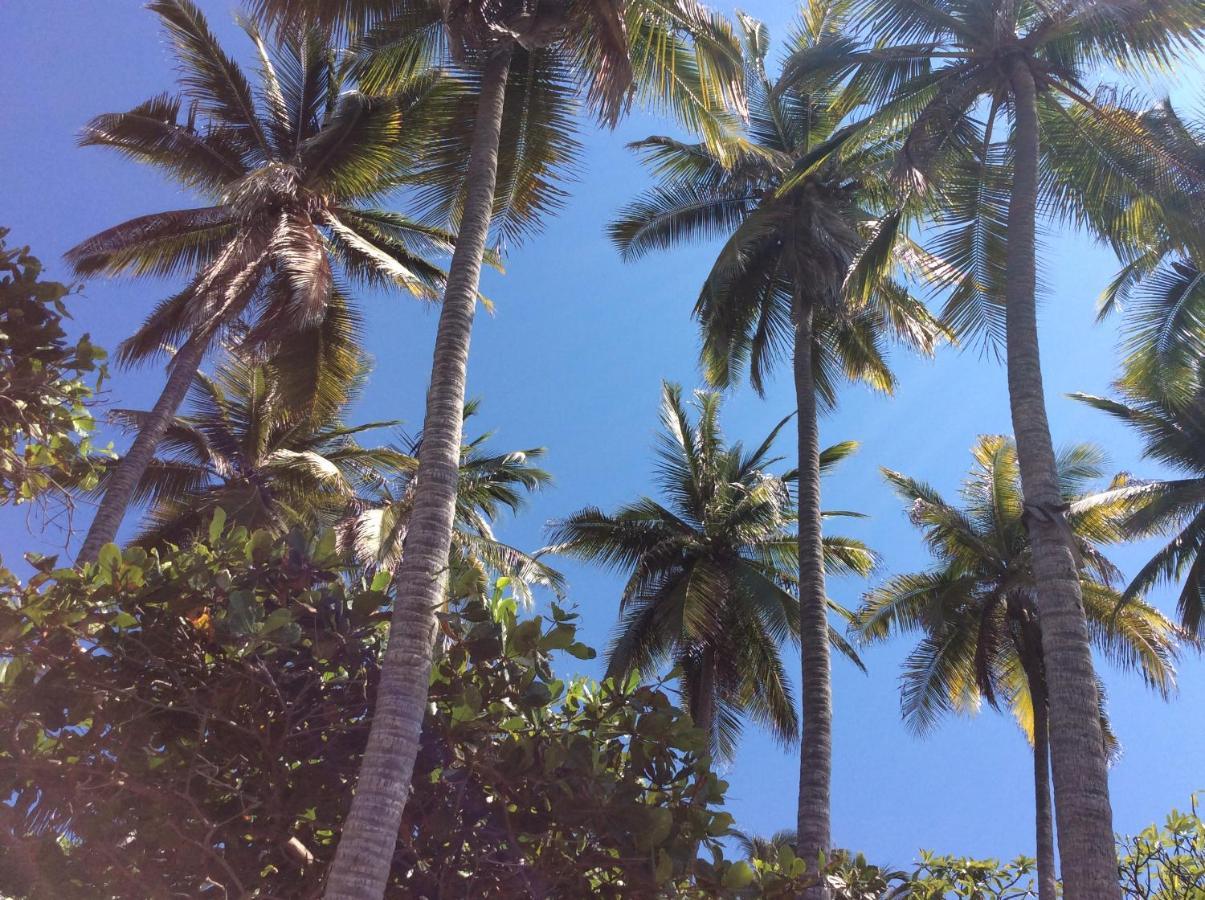 Donde Mira El Sol, Promo Primavera Hasta 50 Por Ciento (Adults Only) Acapulco Exterior photo